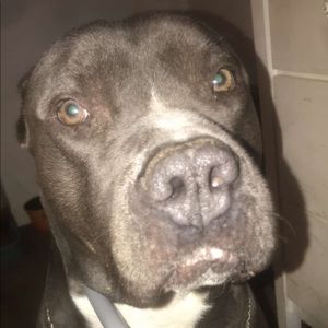 Meet your Posher, Samatha